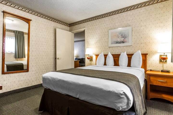 圣克拉拉品质套房酒店(Quality Inn & Suites Santa Clara)