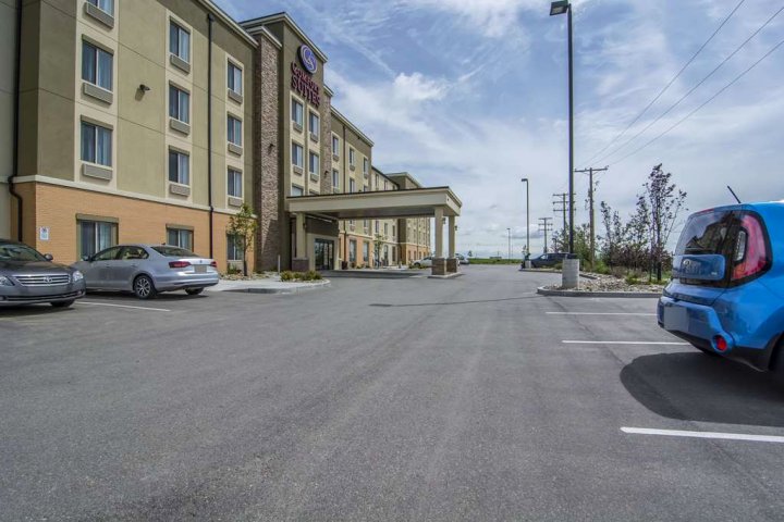 里贾纳舒适套房酒店(Comfort Suites Regina)