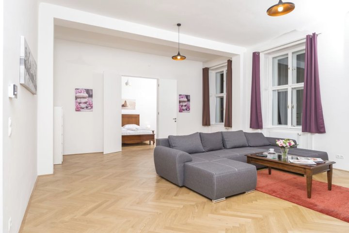 塞乐尔加斯德豪华维也纳欢迎公寓(Seilergasse de Luxe Apartment by Welcome2Vienna)