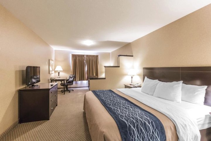 红鹿舒适套房酒店(Comfort Inn & Suites Red Deer)