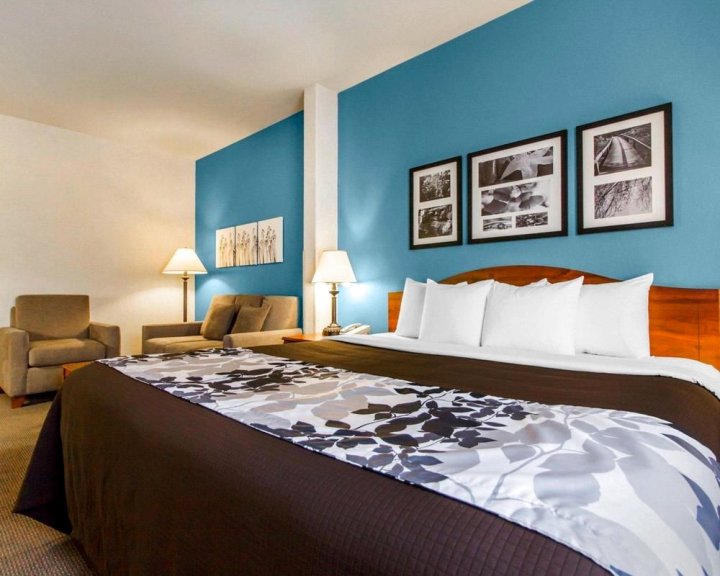 舒眠套房酒店埃文斯维尔(Sleep Inn & Suites Evansville)