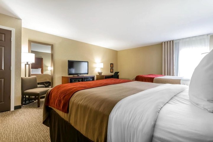 列克星敦舒适酒店及套房(Comfort Inn & Suites Lexington)