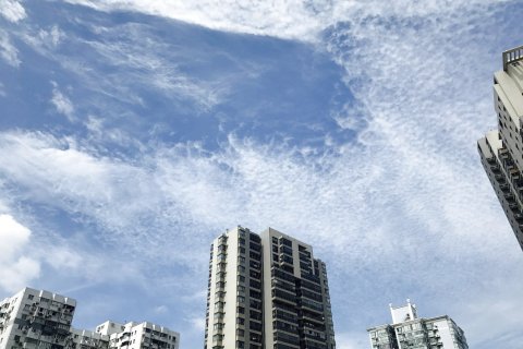 上海千寻毗邻苗江路浦西世博板块及老西门普通