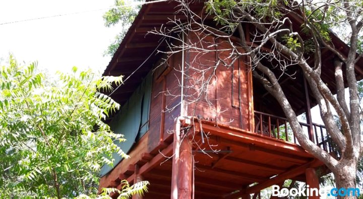 丹布勒树屋(Dambulla Tree House)