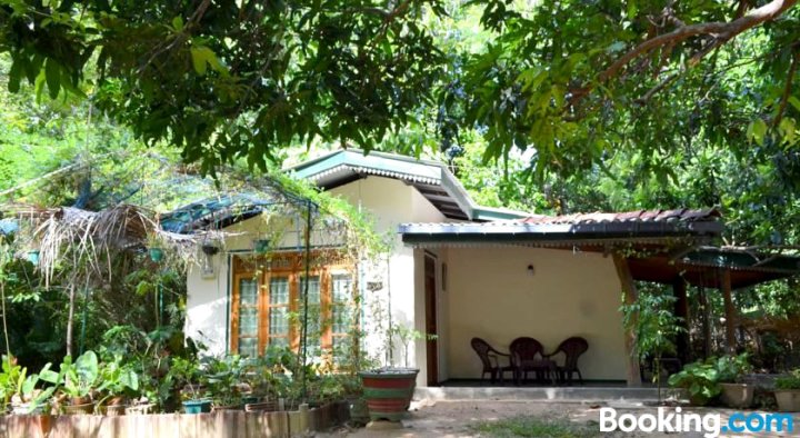 锡吉里亚自由旅馆(Sigiriya Freedom Lodge)