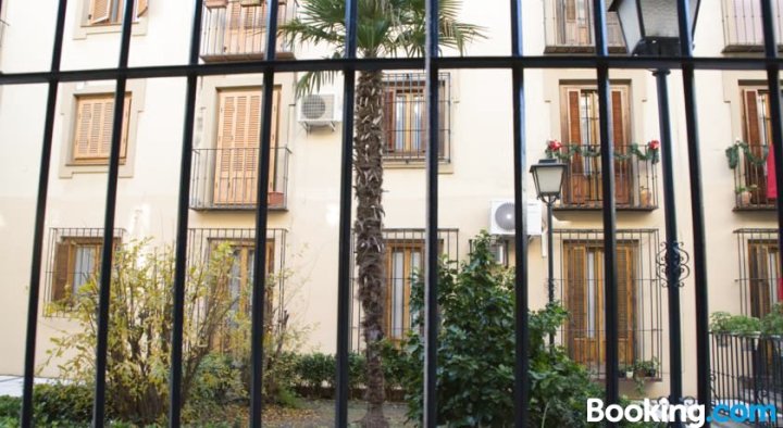 塞维利亚皇宫公寓(Apartamentos Sevilla Palace)