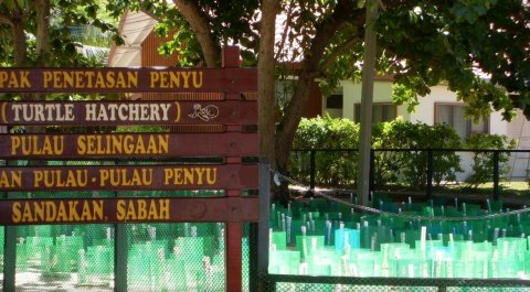 山打根灵岸龟岛酒店(Selingan Turtle Island Resort Sandakan)