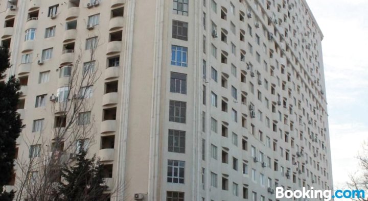阿里亚尔阿利耶夫街公寓(Apartments on Aliyar Aliyev Street)
