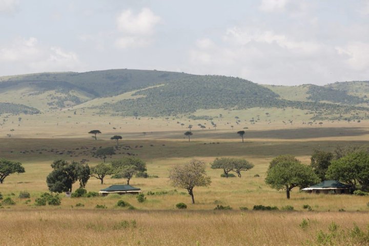 沙河马赛伊马拉酒店(Sand River Masai Mara)