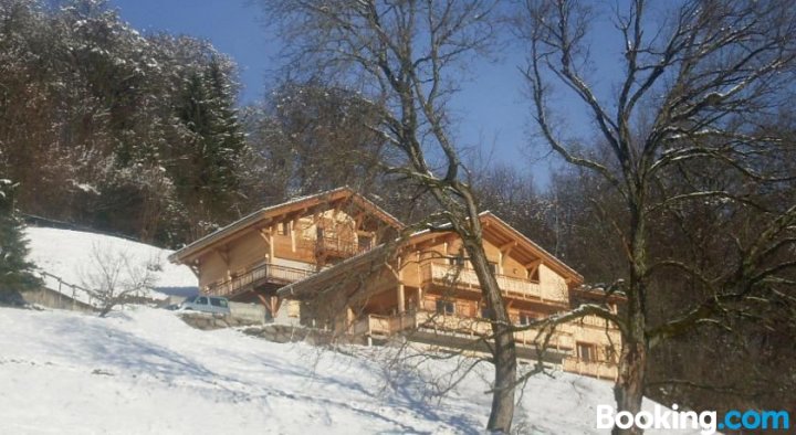 勃朗峰风光小木屋旅馆(Le Chalet Vue Mont-Blanc)