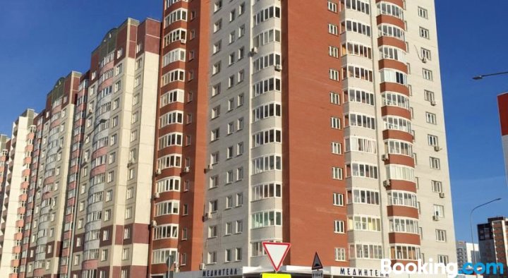 塞梅诺娃街31号欢乐公寓(Happy Apartments on Semenova 31)