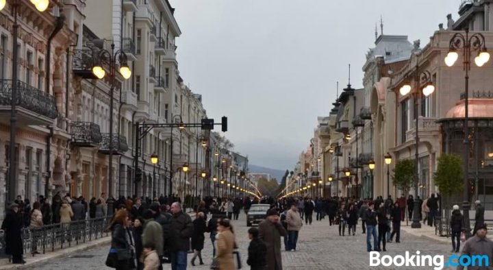 中央第比利斯舒适公寓(Comfortable Flat in Central Tbilisi)