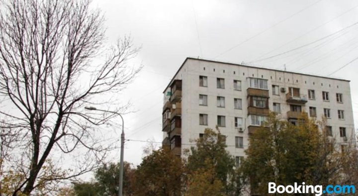 卢克斯公寓 - 克拉斯诺塞卡亚(Lux Apartments - Krasnoselskaya)