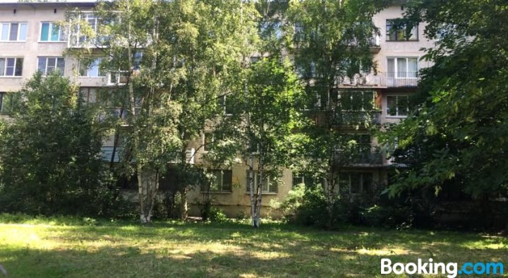 布加勒斯特卡亚公寓(Apartment on Bukharestskaya)