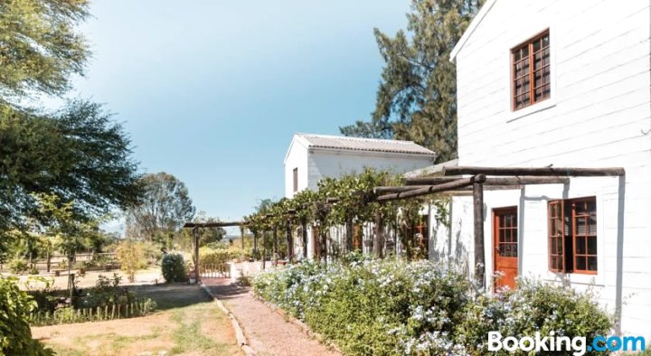 博尔方丹-奥利维希之家(Boerfontein - Home of Olivision)