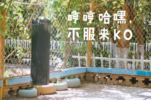 吐鲁番西域葡萄庄园民宿