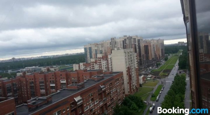 布勒洛娃40公寓(Apartment at Butlerova 40)