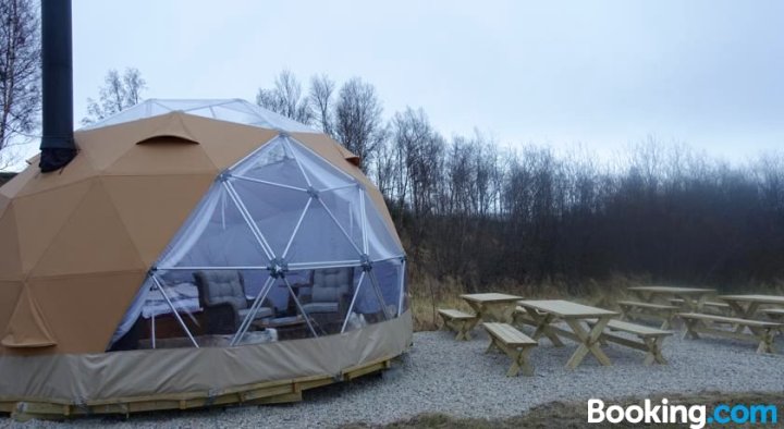 野生驯鹿蒙古包和荒野小屋酒店(Wild Caribou Dome & Wilderness Cabin)