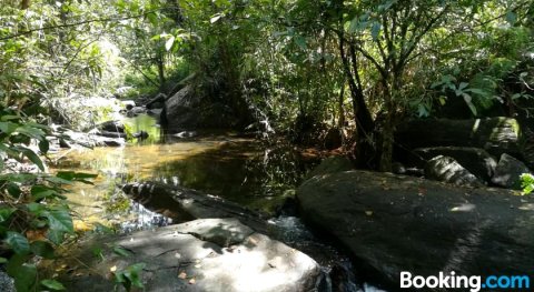 本托塔丛林河公园(Bentota Jungle River Park)