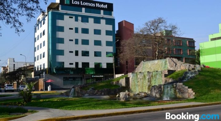 拉斯洛马斯酒店(Hotel Las Lomas)
