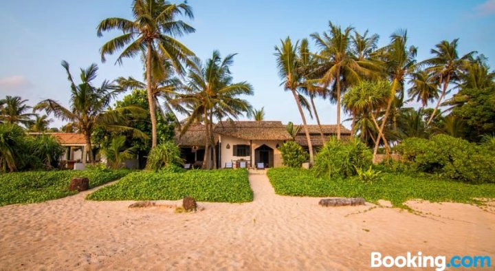 蓝鹦鹉海滩别墅酒店(Blue Parrot Beach Villa)