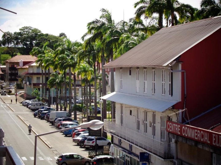 亚马逊酒店(Amazonia Hotel)