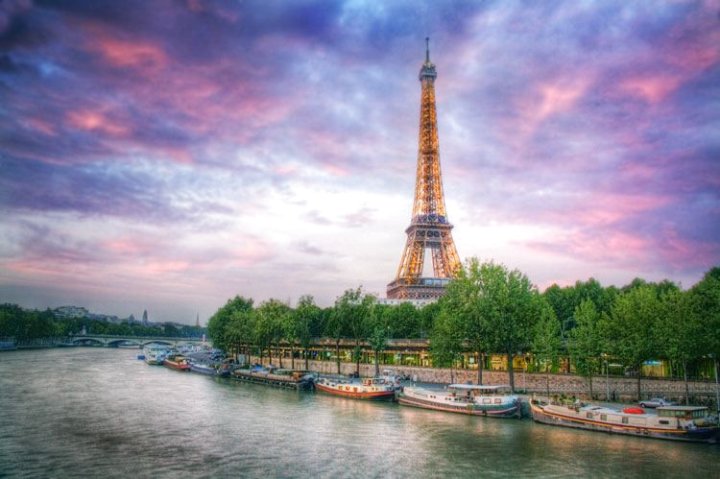 阿里斯格尔内尔埃菲尔铁塔酒店(Alizé Grenelle Tour Eiffel)