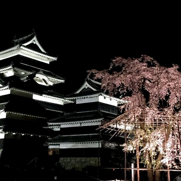 Kiminoyu Ryokan(Kiminoyu Ryokan)