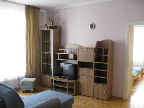 维卡基公寓酒店(Apartments Vecaki)