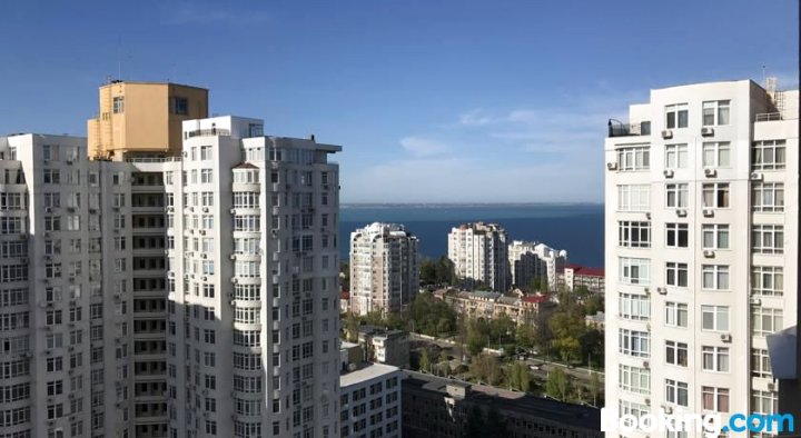 弗兰兹斯基大道公寓(Apartment on Franzuskiy Boulevard)