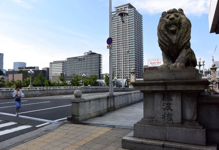 大清中之岛酒店(Hotel Taisei Nakanoshima)