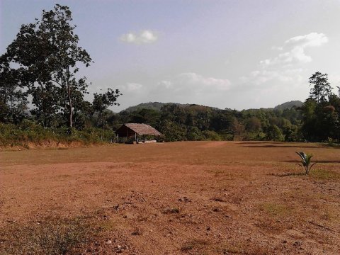 自然度假酒店(The Nature's Resort, Hanwella)