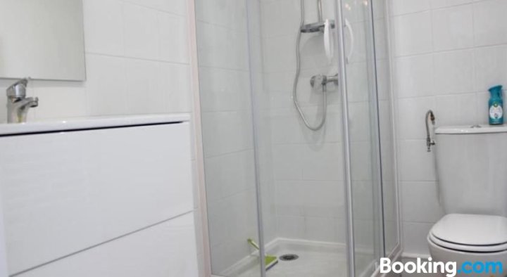 威乐中心1号公寓(Appartement La Rochelle, 1 pièce, 2 Personnes - FR-1-246-222)