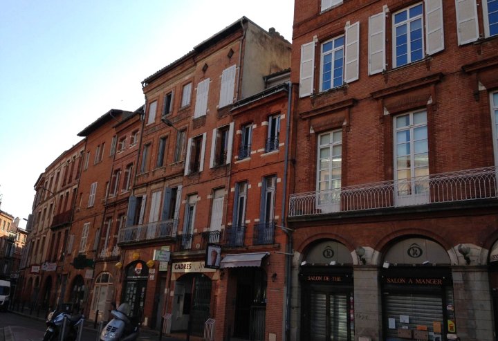图卢兹首都 1 号公寓酒店(Appartement Toulouse Capitole 1)