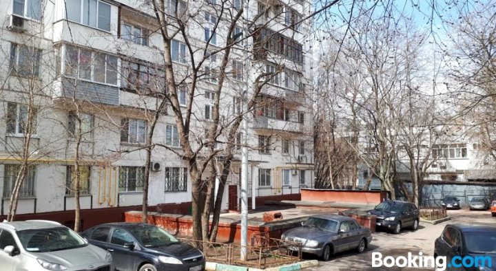 格尔雅诺斯卡娅公寓(Apartment on Golyanovskaya)