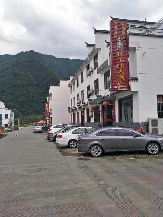 石台牯牛降大酒店