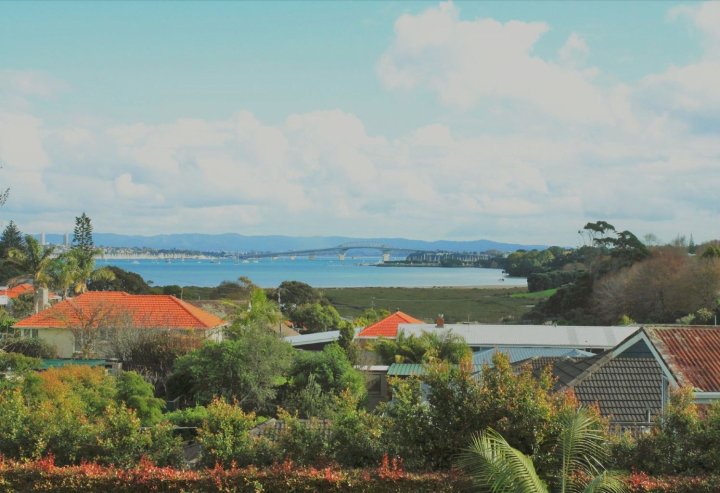 独特之家 - 德文波特海景酒店(Unique Home - Devonport Seaview House)