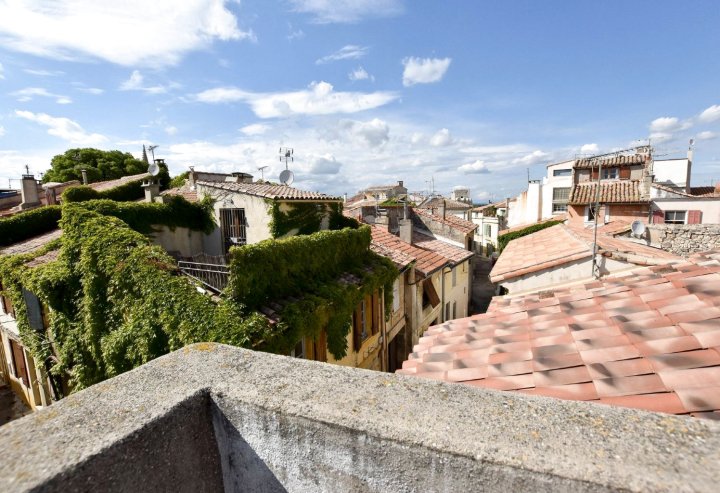 Grand Couvent - Superbe Maison Typique au cœur d'Arles