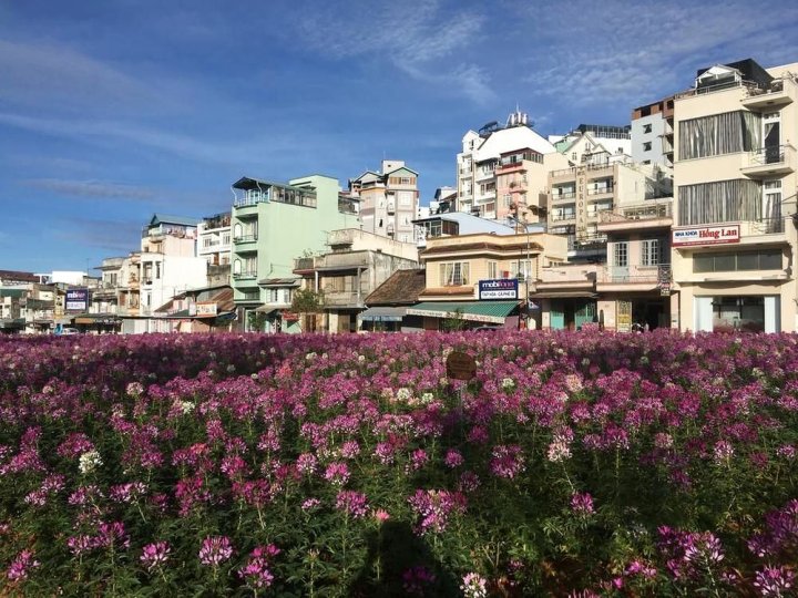 安和映岛酒店(Hoa Anh Dao Hotel)