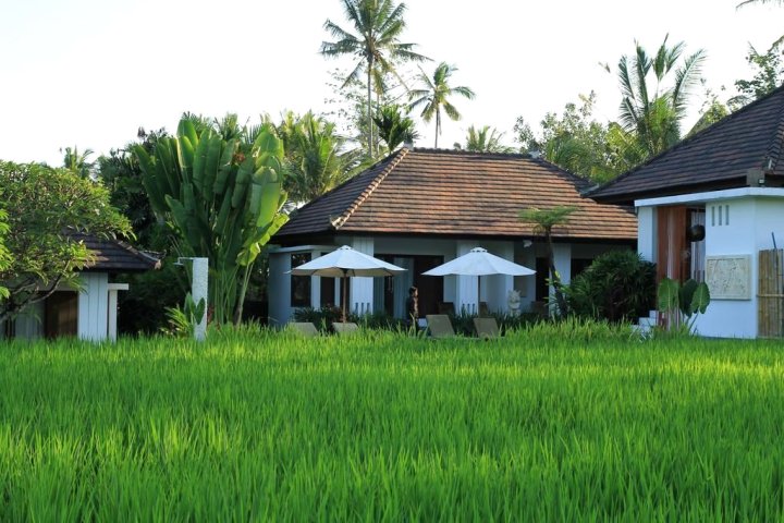 巴厘岛萨托利别墅(Satori Villas Bali)