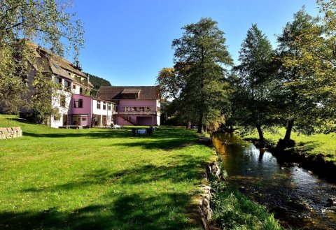 孚日之家酒店(Logis Hotel des Vosges)