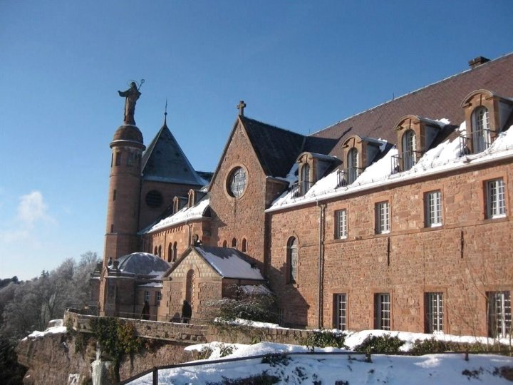 洛赛迪阿尔萨斯住宿加早餐旅馆(Maison d'hôtes La Rose d'Alsace)