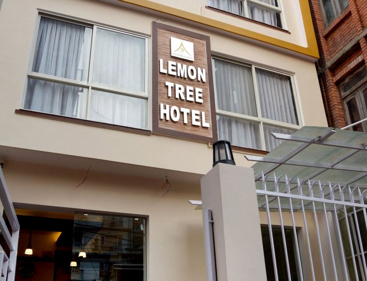 柠檬树酒店(Lemon Tree Hotel)