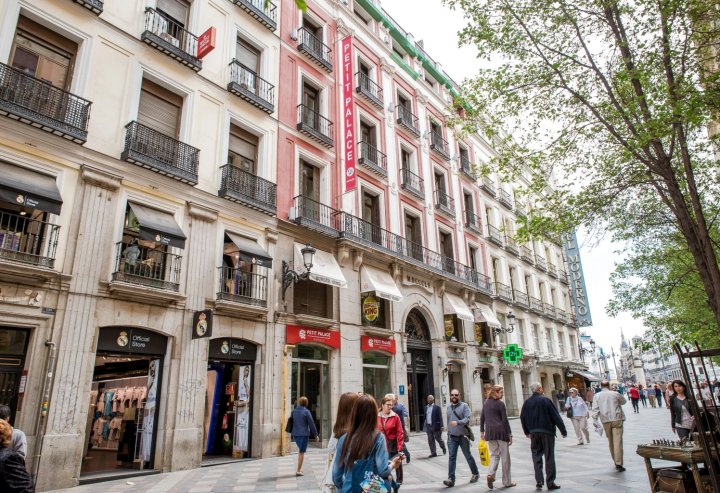 珀蒂宫太阳门酒店(Petit Palace Puerta del Sol)