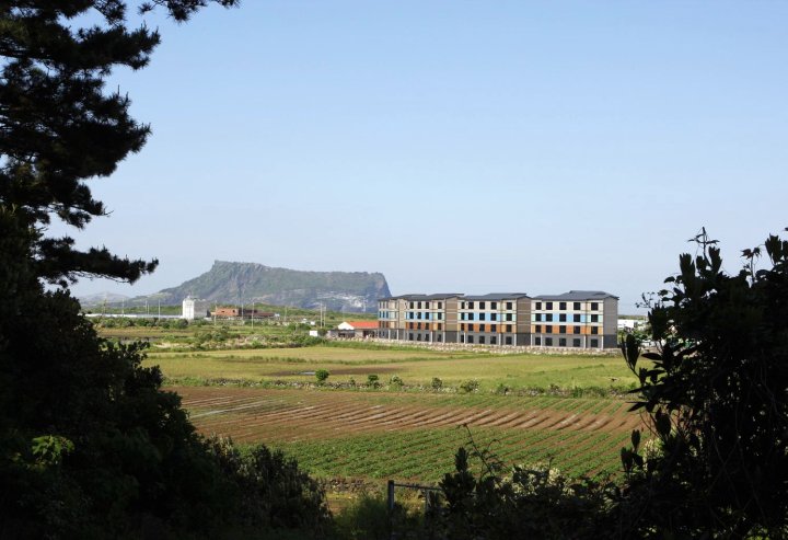 济州城山之景酒店(Jeju Stay in Seongsan)