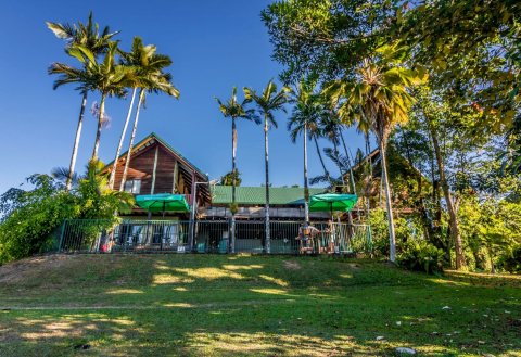 密孙海滩杰克罗树屋旅舍(Jackaroo Treehouse Mission Beach)