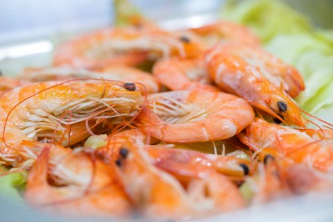 罗曼花园大酒店(青田高铁站店)