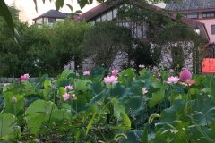 衢州玩创国际青旅