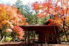 梅岛温泉 贷别庄 金山温泉 木屋旅馆(Kinzan Onsen Log House)