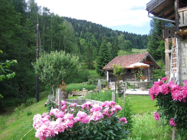 Chambres d'hôtes / B&B Ferme St Roch